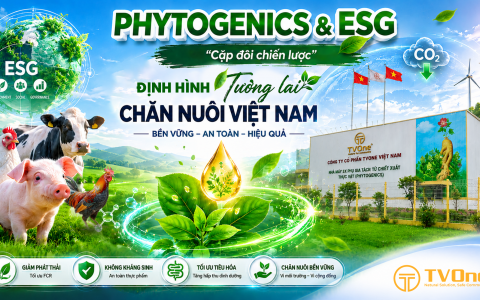 Phytogenics và ESG: “Cặp đôi chiến lược” định hình tương lai ngành chăn nuôi Việt Nam
